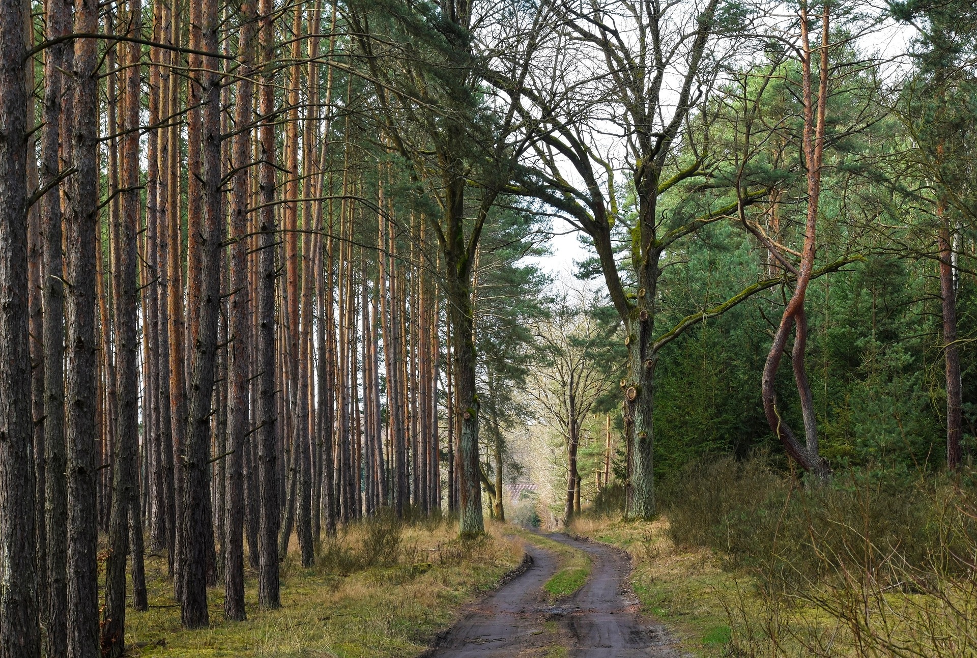 Natural Ways to Boost Your Health